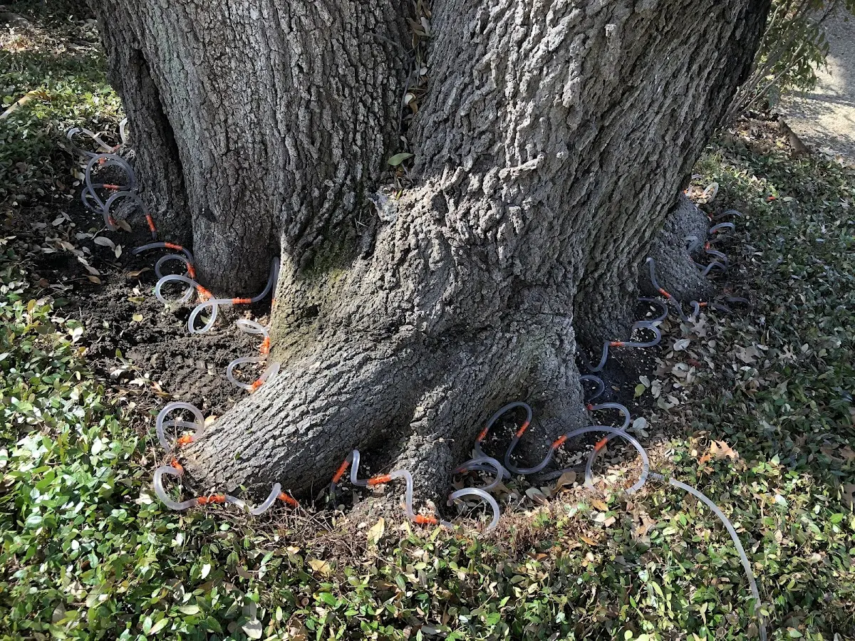 Detailed Shrub and Hedge Trimming job site in Hubbard Lake