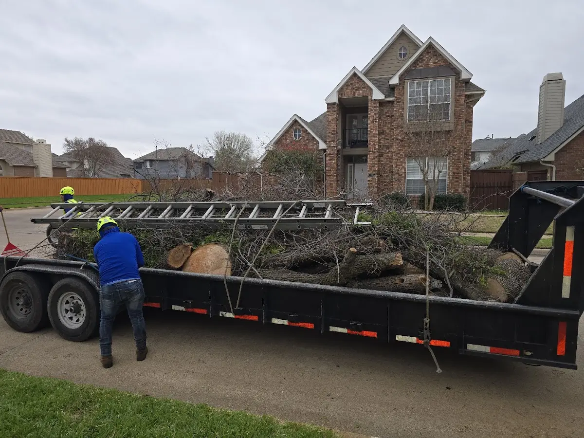 Expert Crown Reduction with proper safety equipment in Hubbard Lake